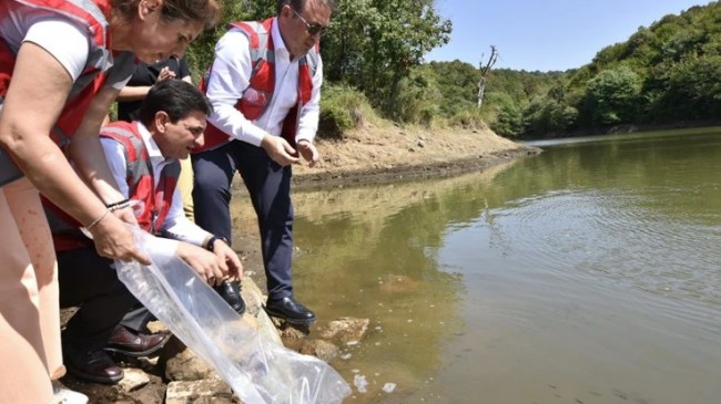 Beykoz’da sulama göletine 58 bin pullu sazan balığı bırakıldı